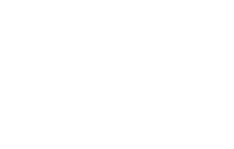 Verve Performance